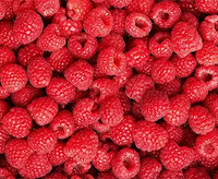 Raspberry (Fu Pen Zi)