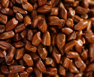 Cassia Seeds