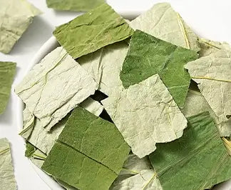 Lotus Leaf