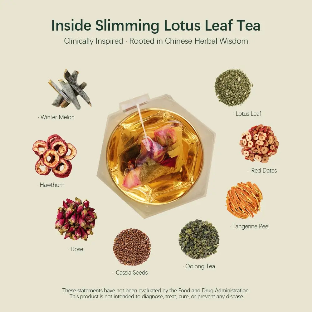 Slimming Lotus Leaf Tea ingredients - 8 natural herbs including winter melon, lotus leaf, cassia seeds, red dates, tangerine peel, hawthorn, oolong tea and rose petals arranged around brewed tea cup