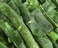 Winter Melon