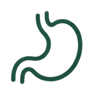 Stomach and digestion icon