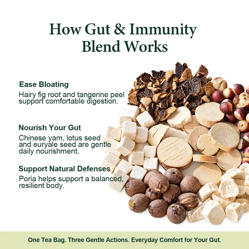 How Gut & Immunity Blend works: ease bloating, nourish your gut and support natural defenses