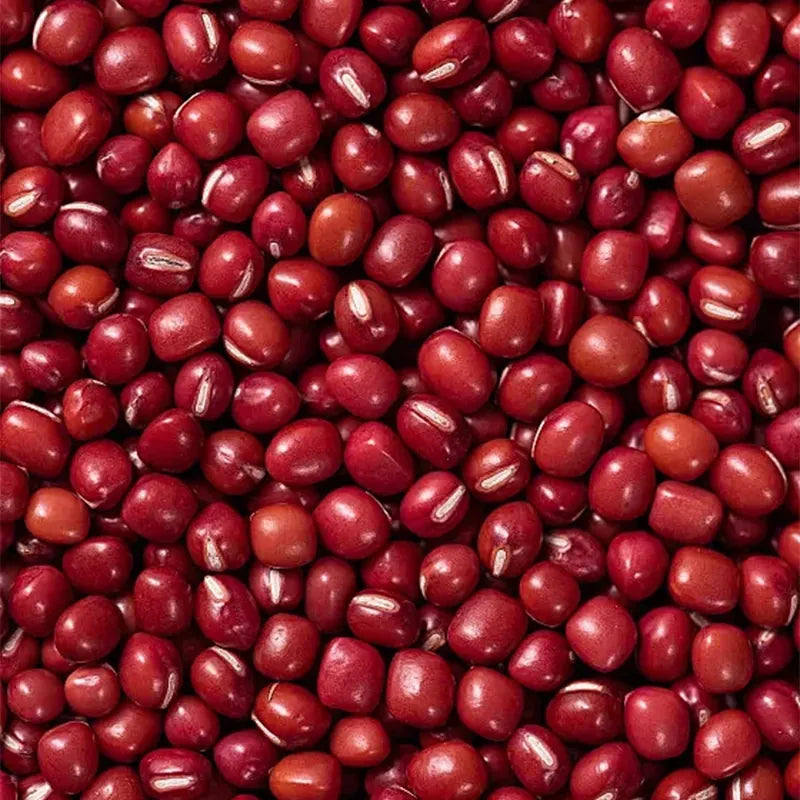 Dried adzuki beans (Chi Xiao Dou) – LunarSip Chinese herbal tea ingredient