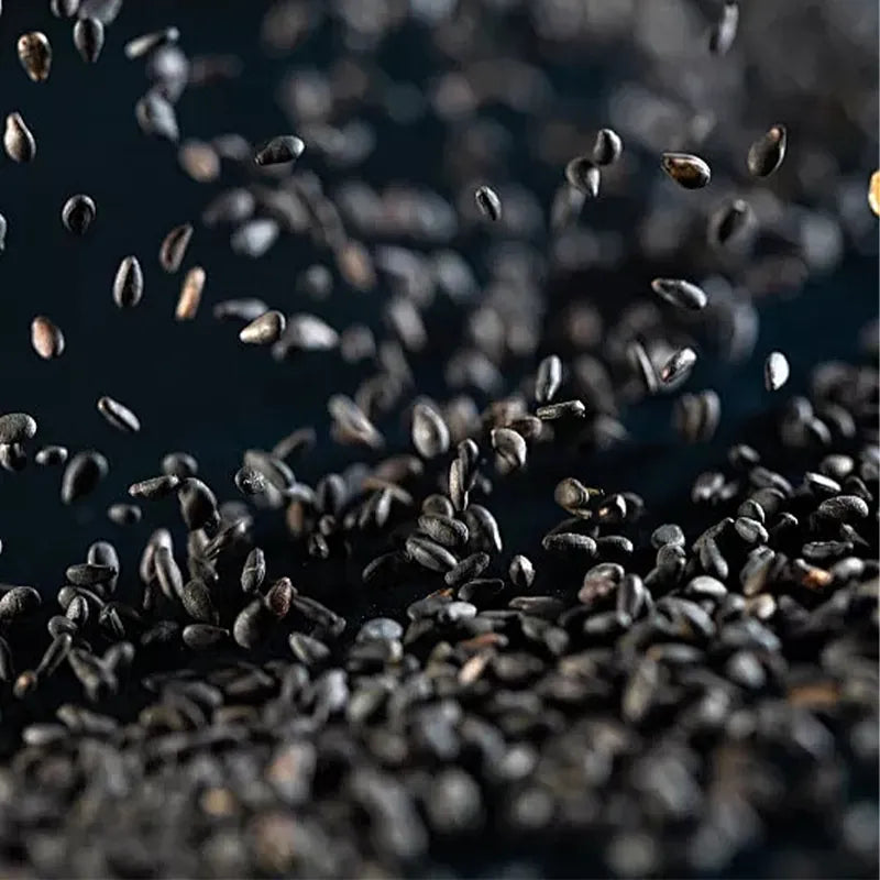Black sesame seeds (Hei Zhi Ma) – LunarSip Chinese herbal tea ingredient