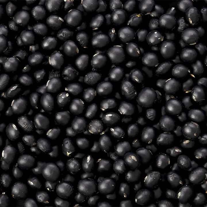 Black Soybean