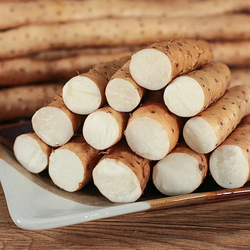 Fresh Chinese yam, iron-stick yam (Tie Gun Shan Yao) – LunarSip Chinese herbal tea ingredient