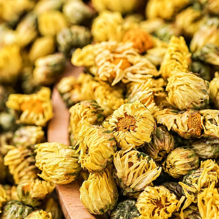 Chrysanthemum