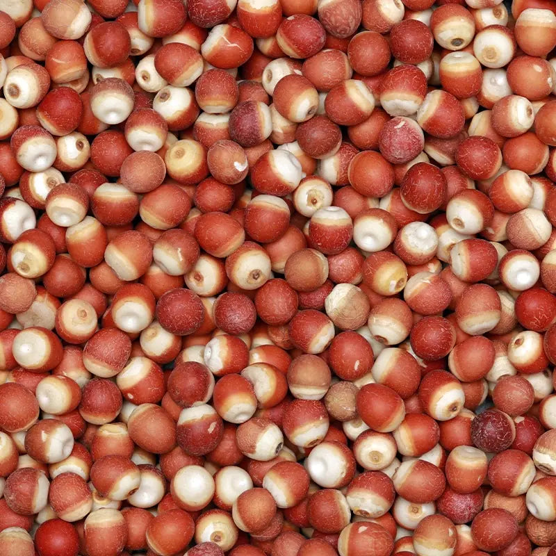 Euryale seeds, fox nut (Qian Shi) – LunarSip Chinese herbal tea ingredient