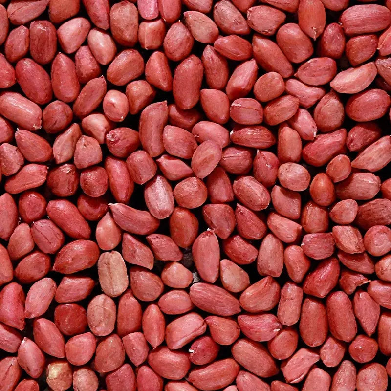 Red-skin peanuts (Hua Sheng) – LunarSip Chinese herbal tea ingredient