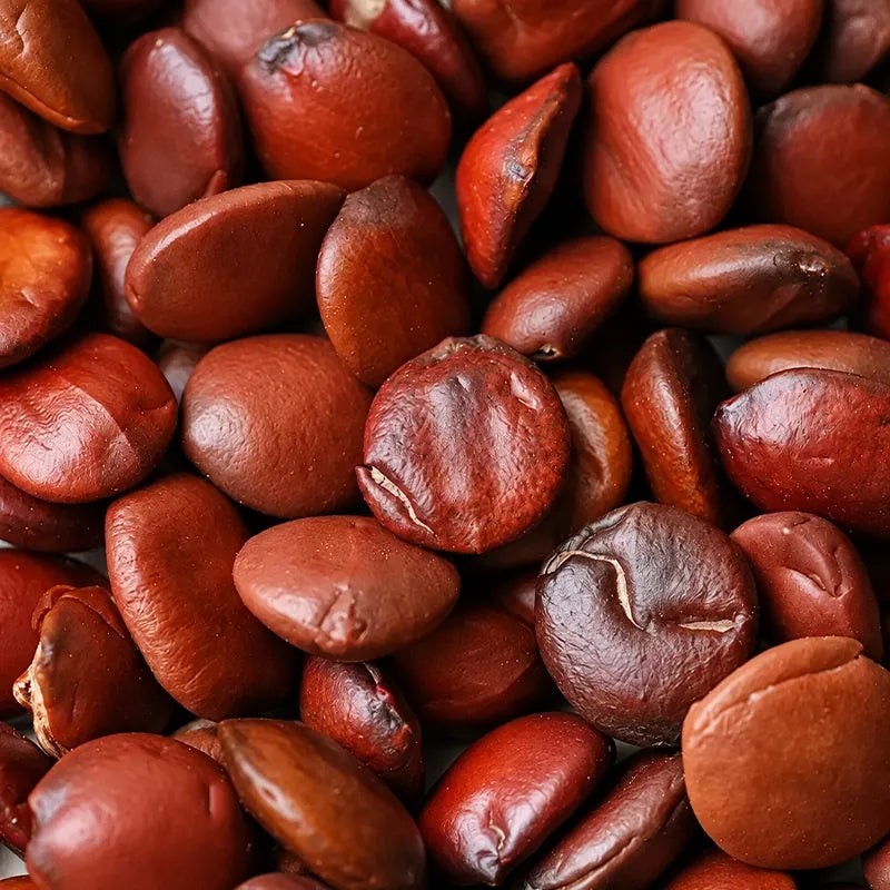 Sour jujube seeds (Suan Zao Ren) – LunarSip Chinese herbal tea ingredient