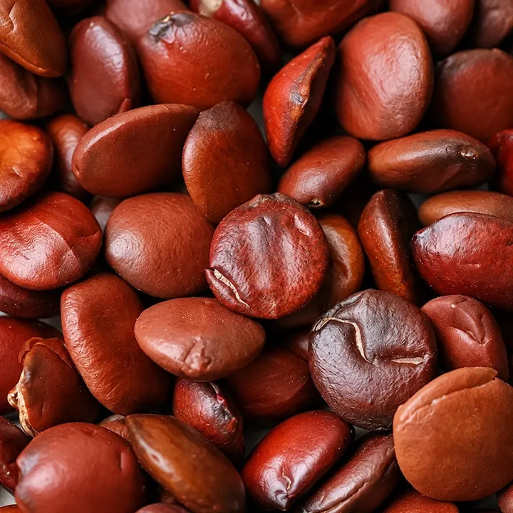 Sour Jujube Seed